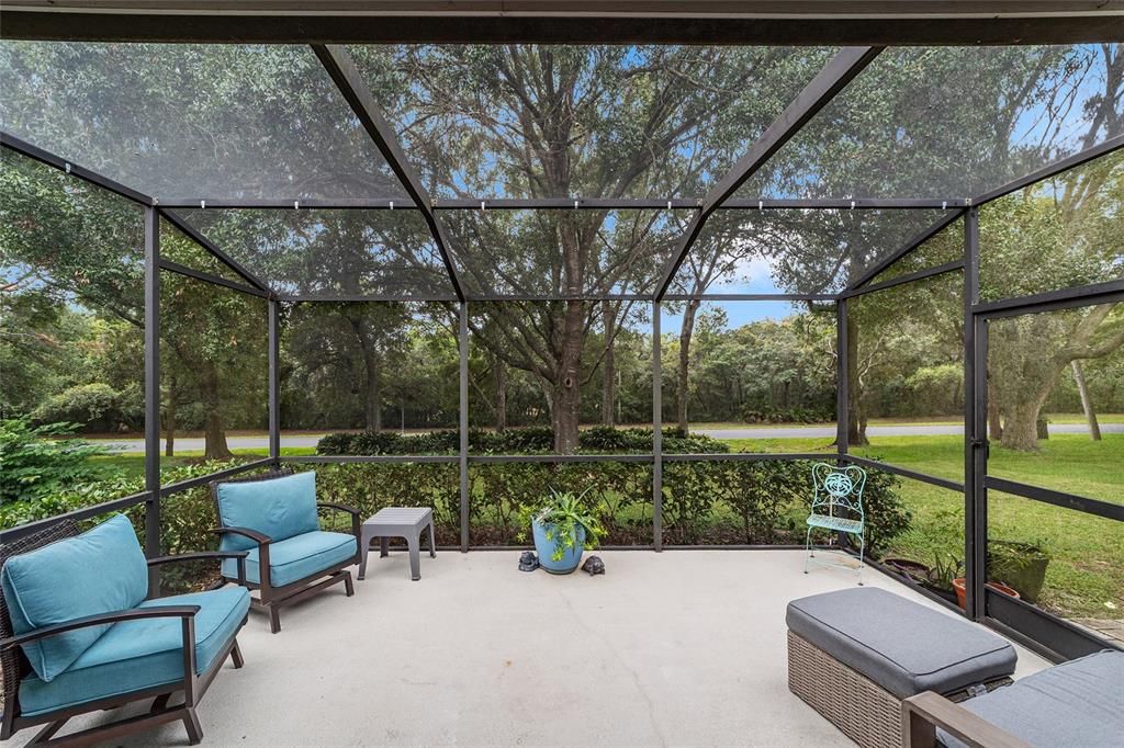Glass Ceilings, Interior, Sun Room