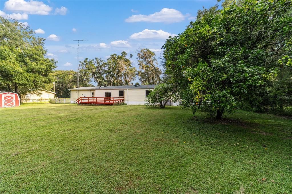 Backyard, Exterior