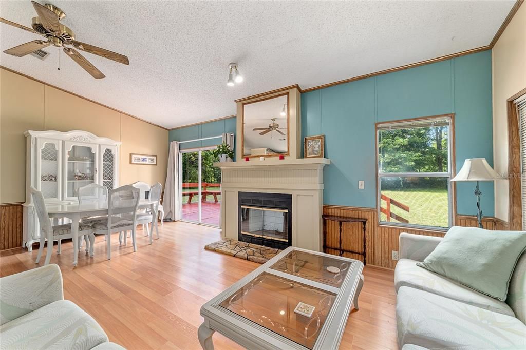 Dining room, Fireplace, Interior, Wood Texture Flooring