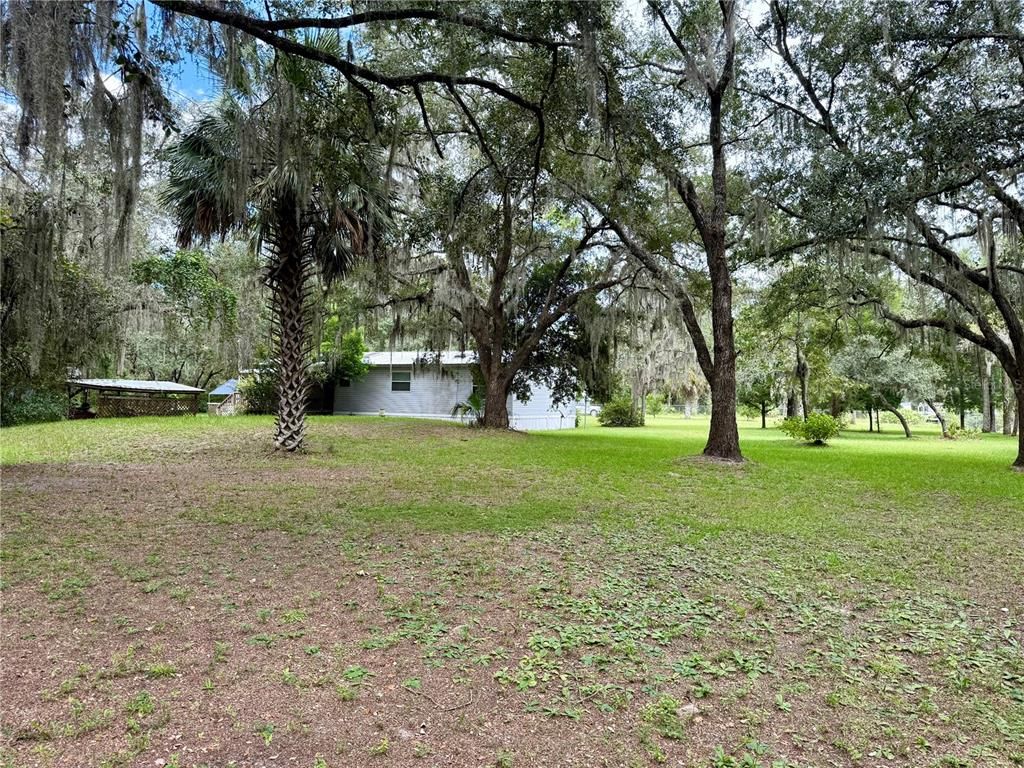 Backyard, Exterior, Playground