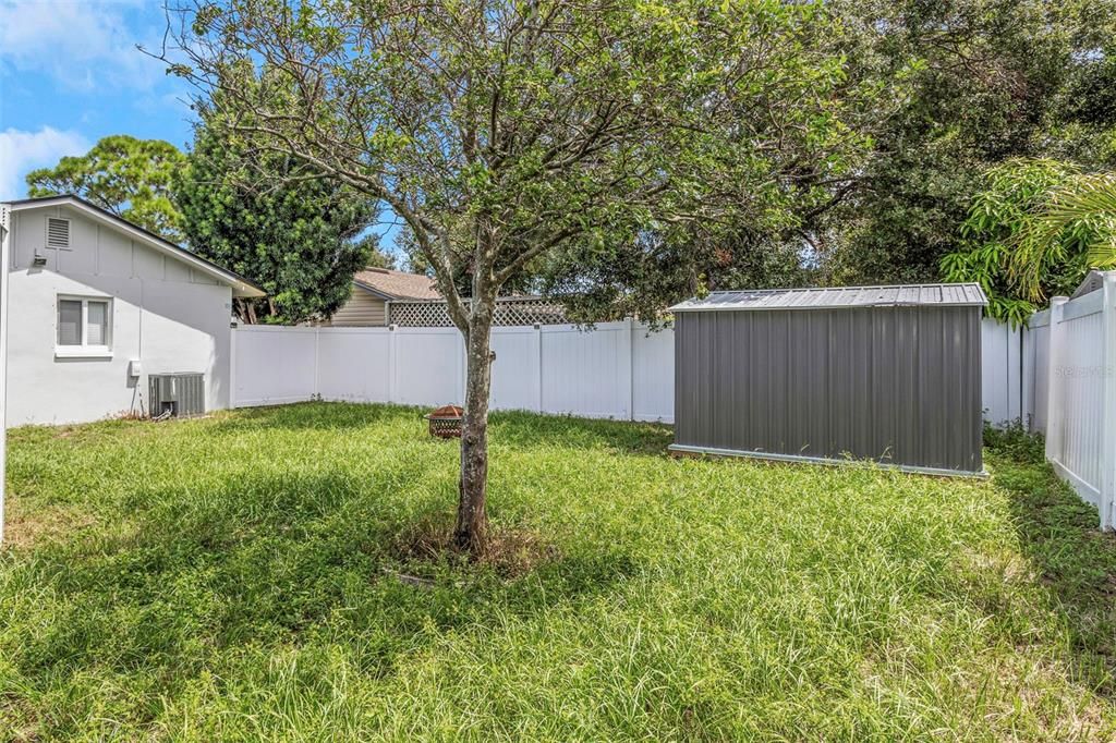 Backyard, Exterior