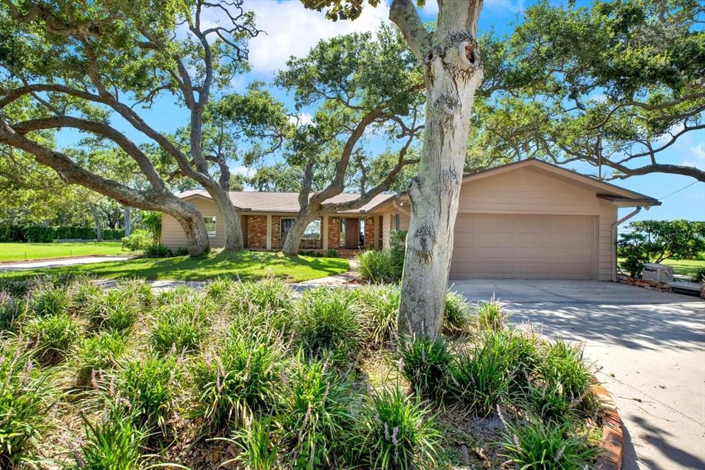 Backyard, Detached Garage, Exterior