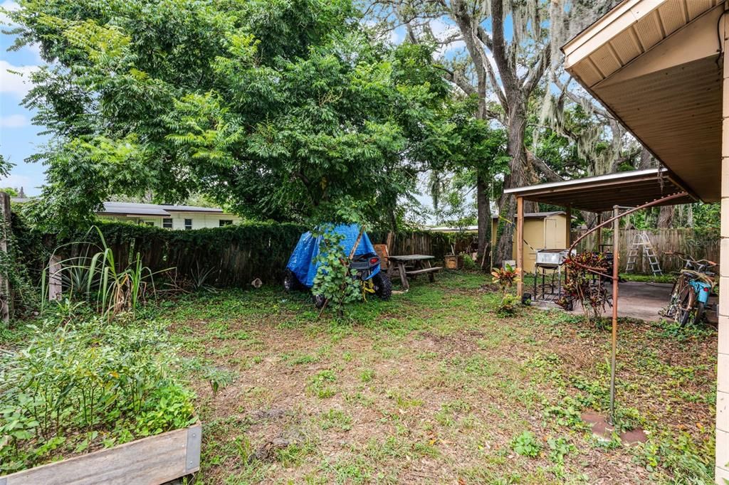 Backyard, Exterior