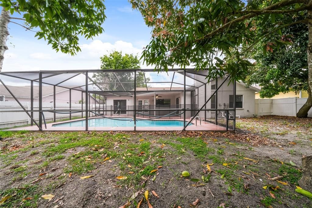 Backyard, Exterior, Pool