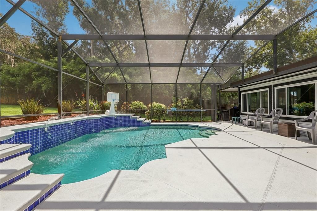 Glass Ceilings, Interior, Pool, Sun Room