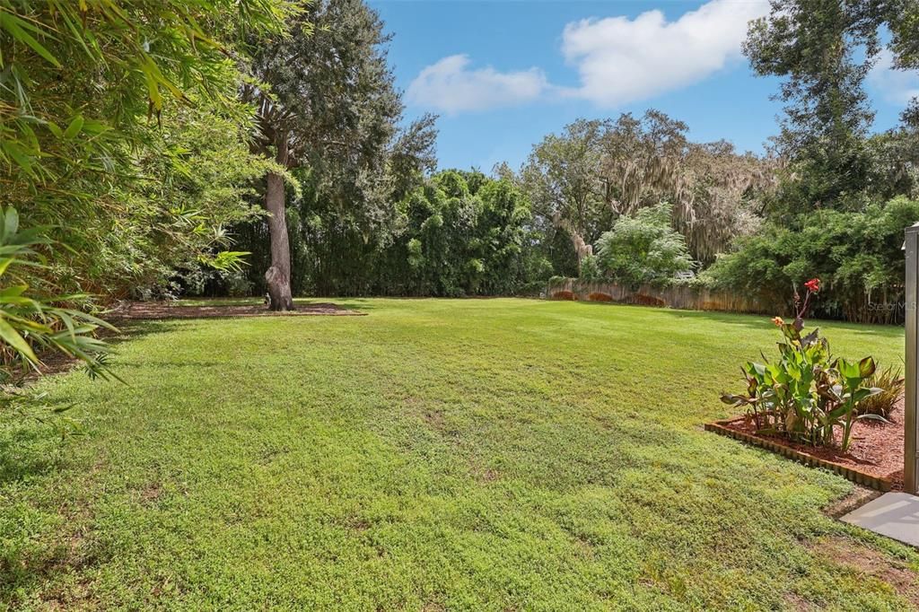 Backyard, Exterior
