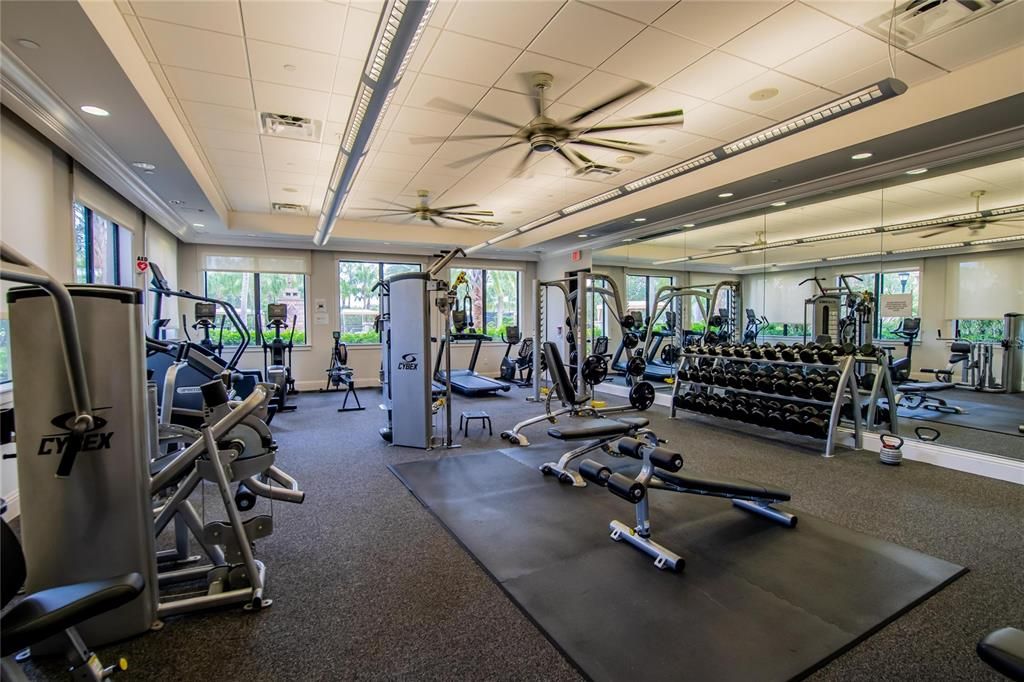Fitness Equipment, Gym, Interior, Recessed Lighting