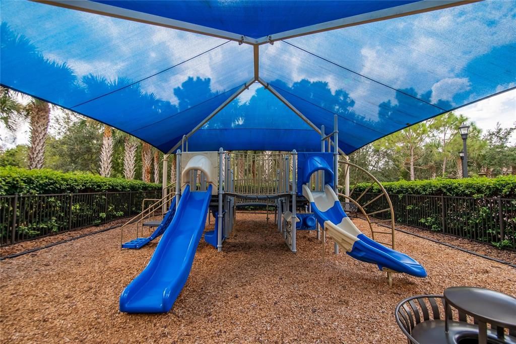 Backyard, Exterior, Playground
