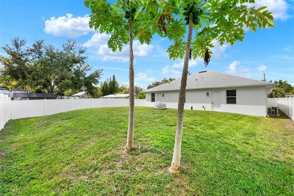 Backyard, Exterior