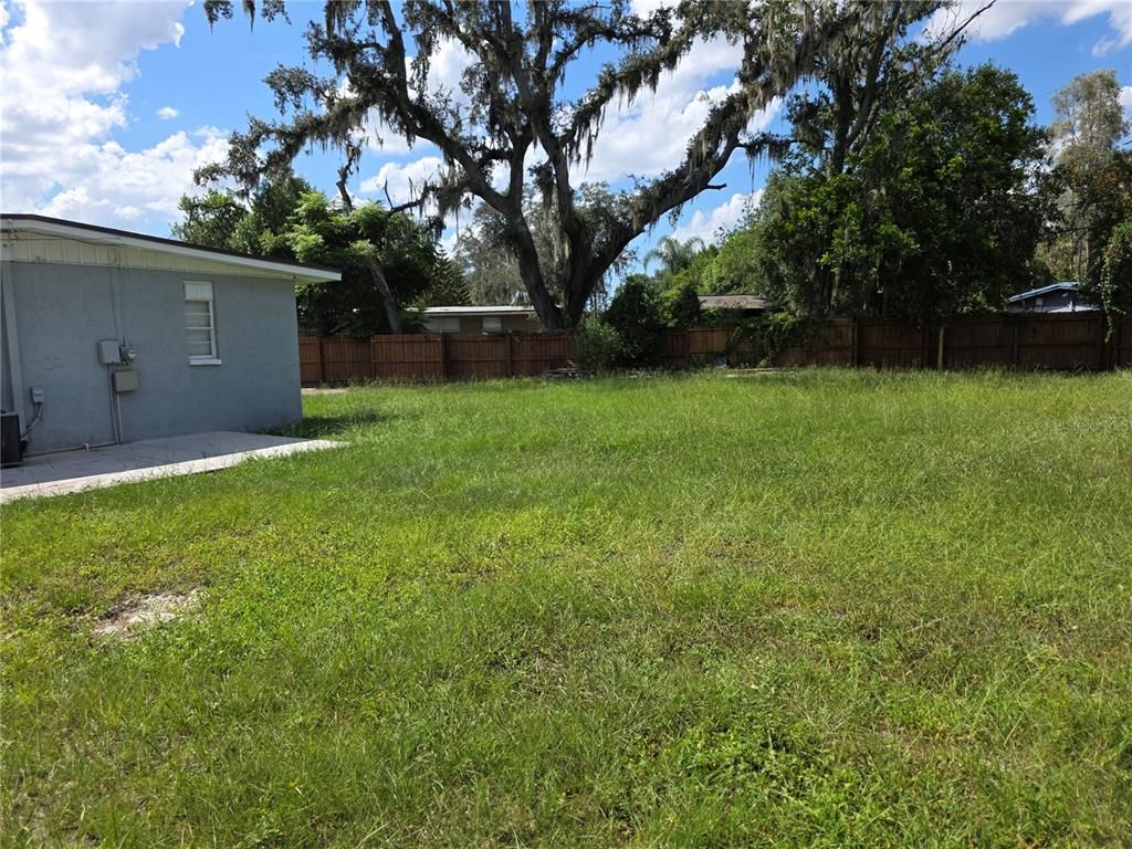Backyard, Exterior