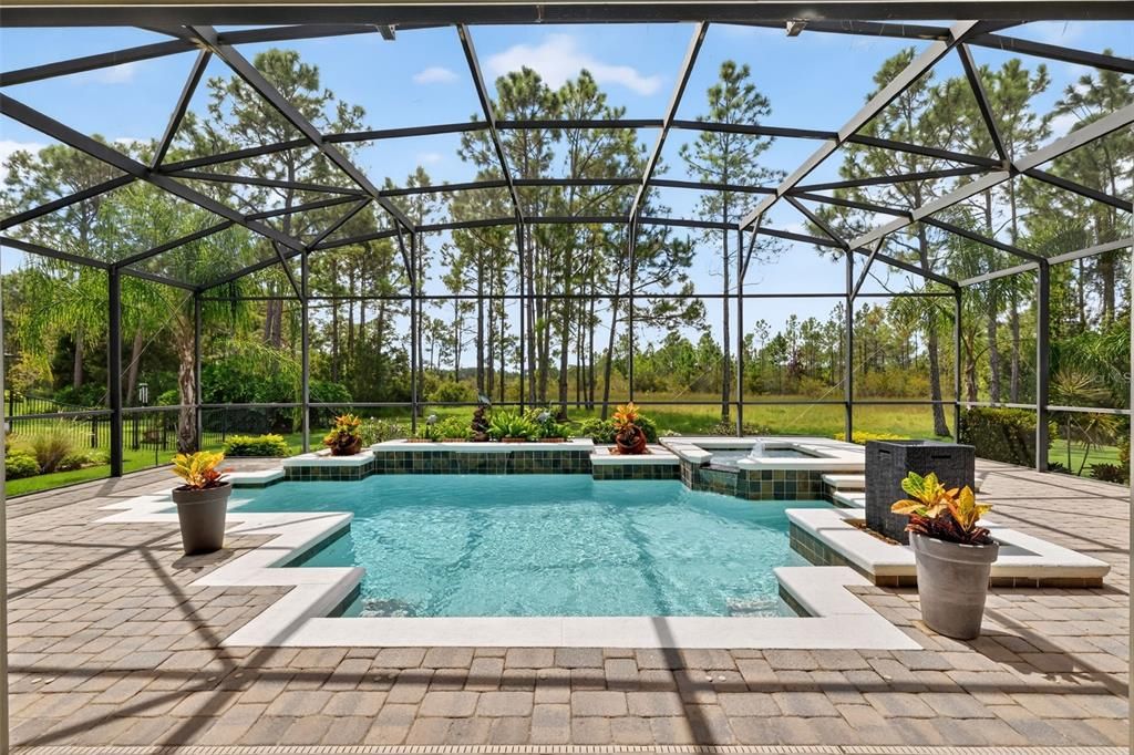Glass Ceilings, Interior, Pool, Sun Room