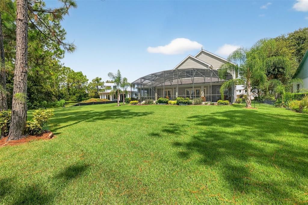 Backyard, Exterior