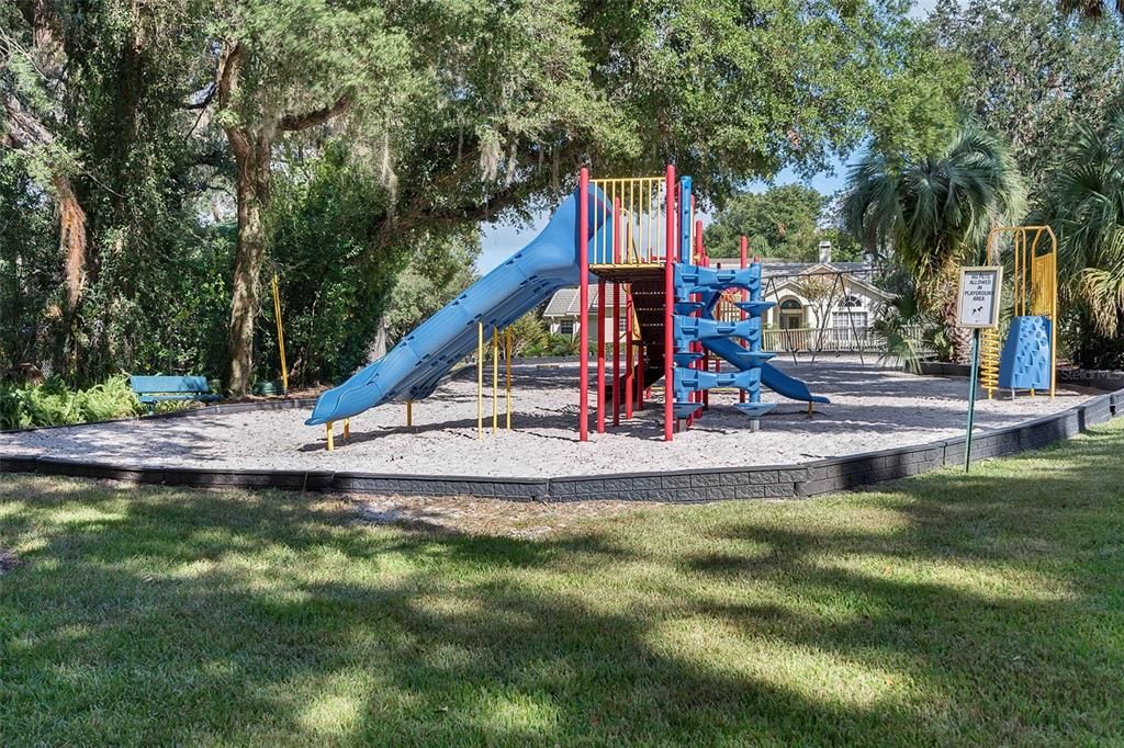 Backyard, Exterior, Playground