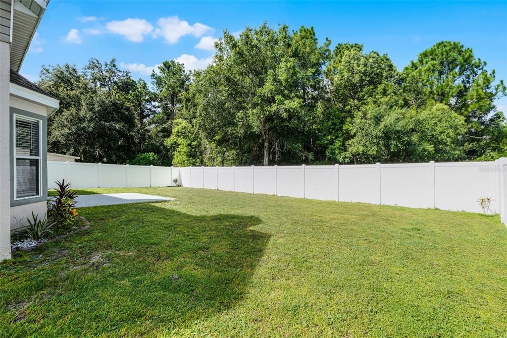 Backyard, Exterior