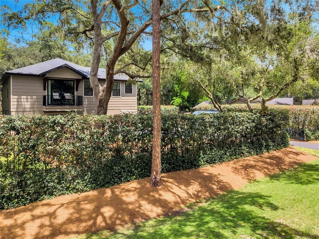 Backyard, Exterior