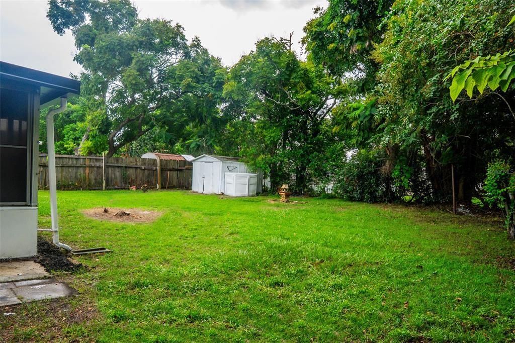 Backyard, Exterior