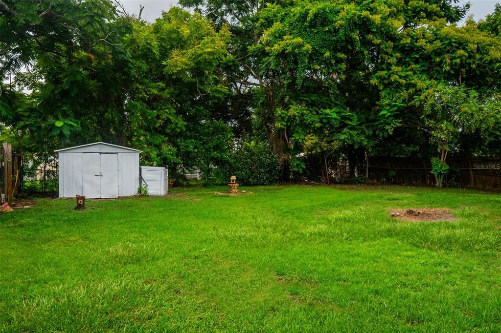 Backyard, Exterior