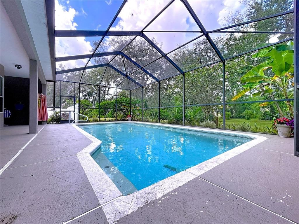 Glass Ceilings, Interior, Pool, Sun Room
