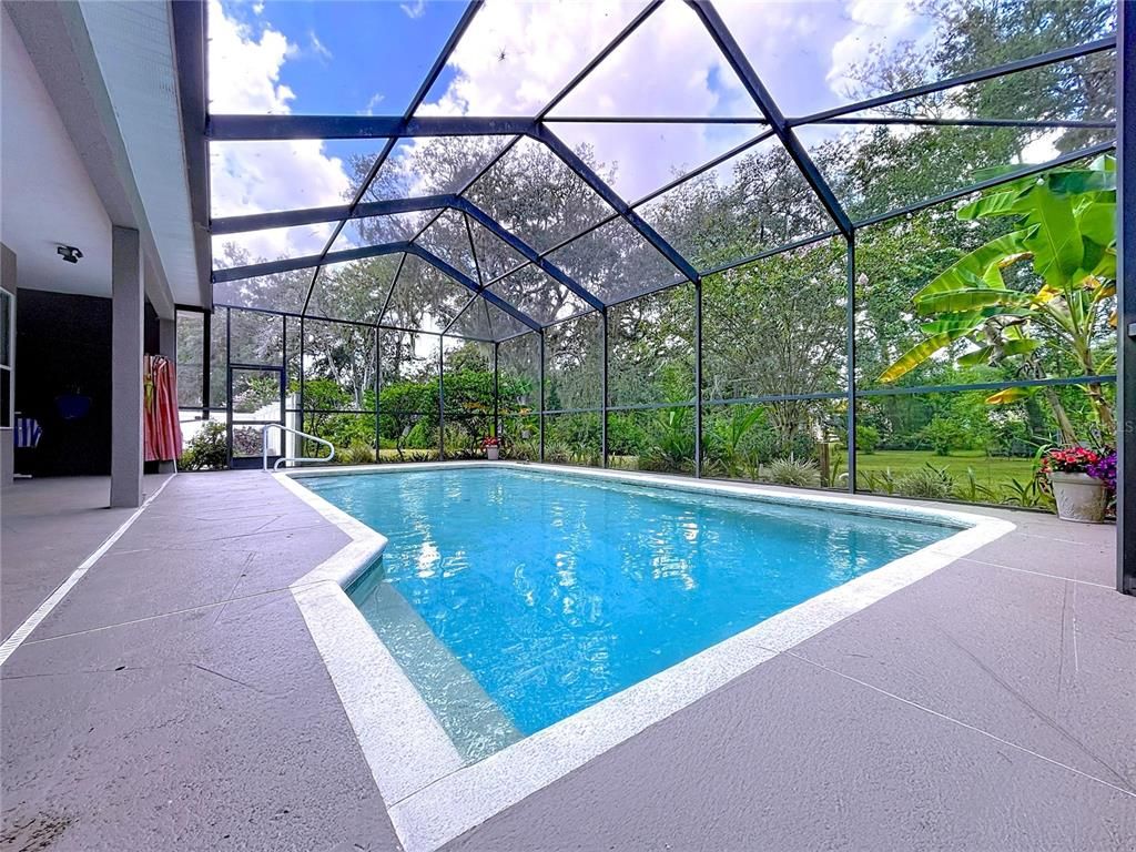 Glass Ceilings, Interior, Pool, Sun Room