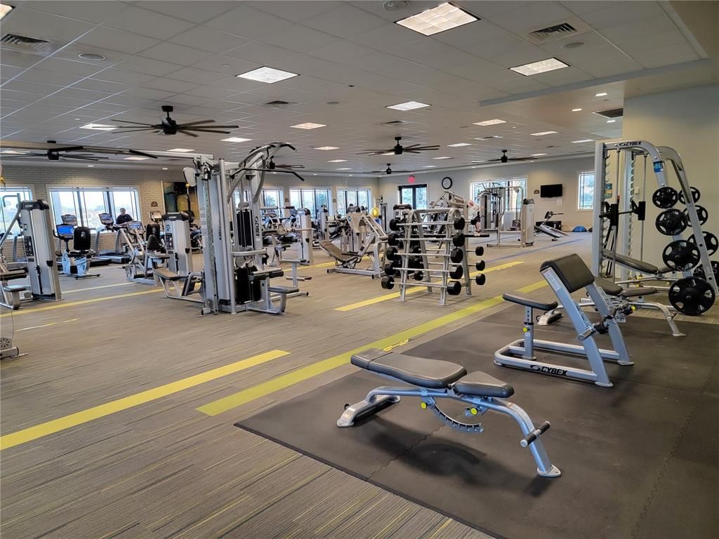 Fitness Equipment, Gym, Interior, Recessed Lighting