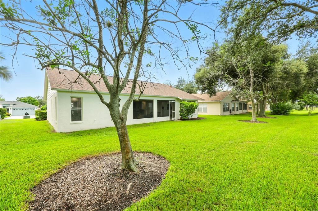 Backyard, Exterior