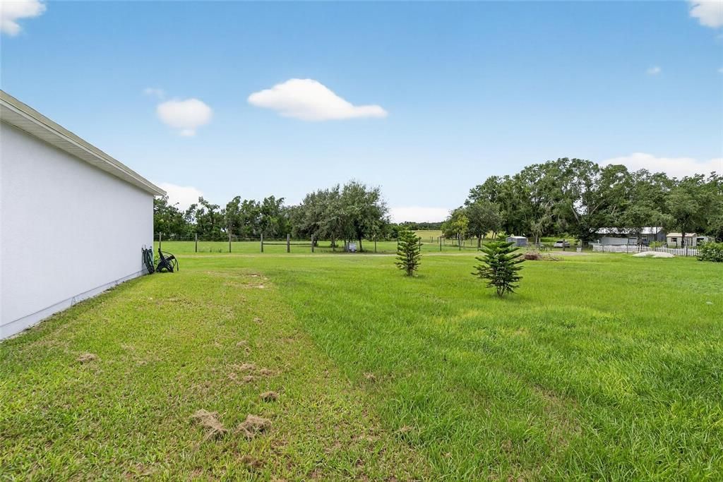 Backyard, Exterior