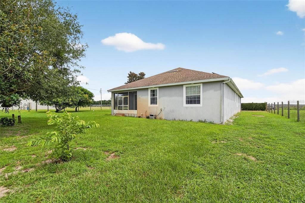 Backyard, Exterior