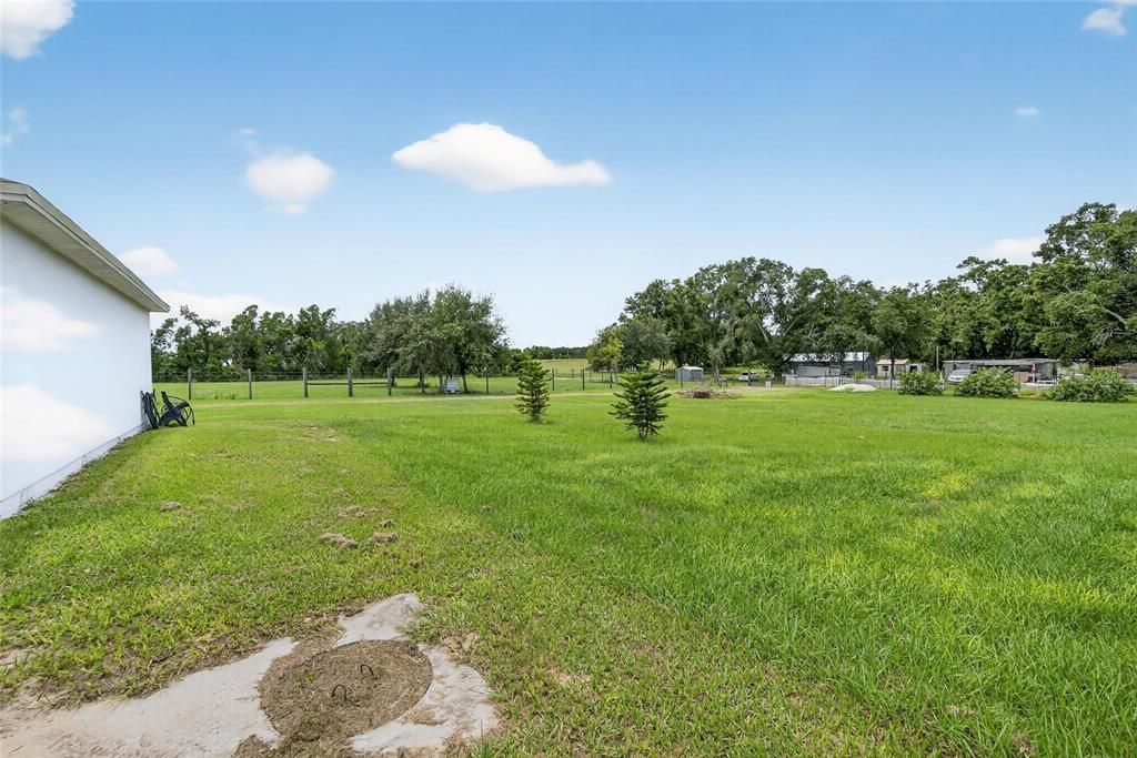 Backyard, Exterior