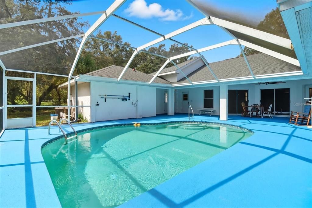 Glass Ceilings, Interior, Pool, Sun Room