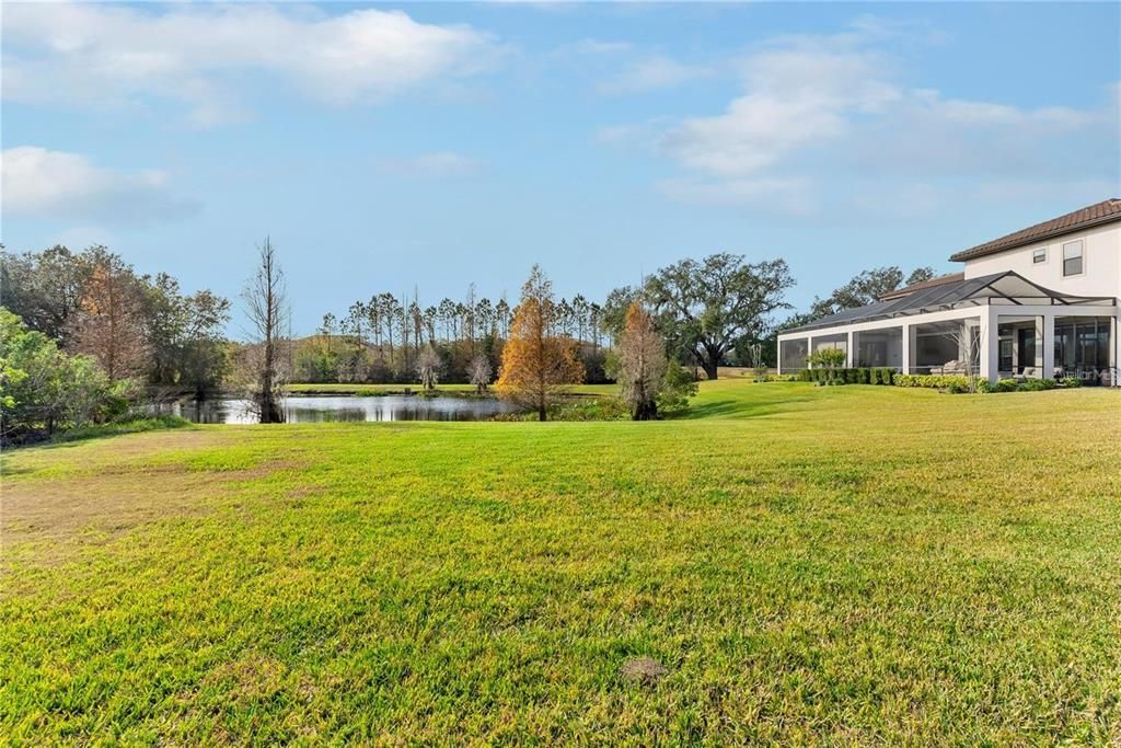 Backyard, Exterior, Water