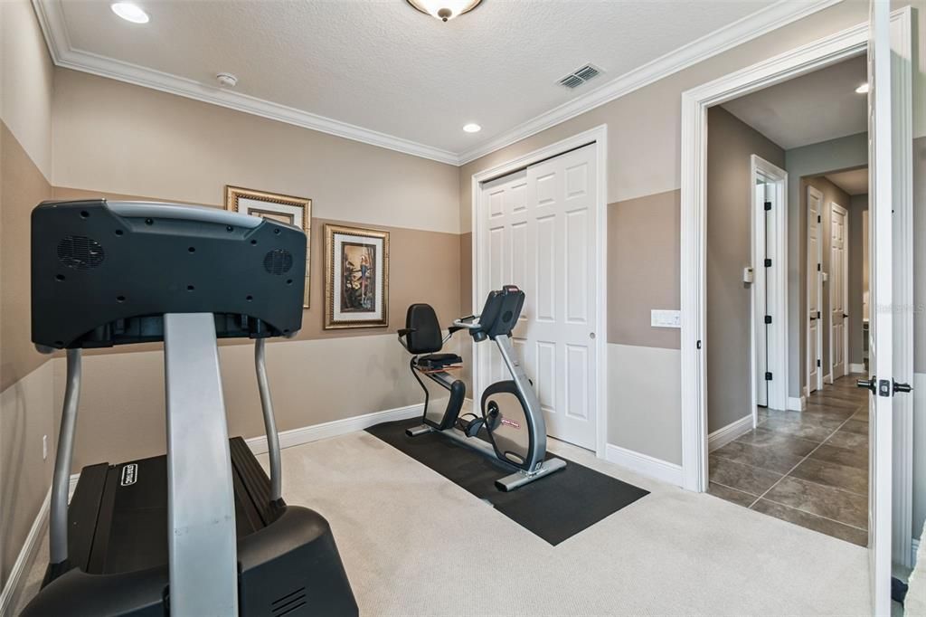 Fitness Equipment, Interior, Recessed Lighting