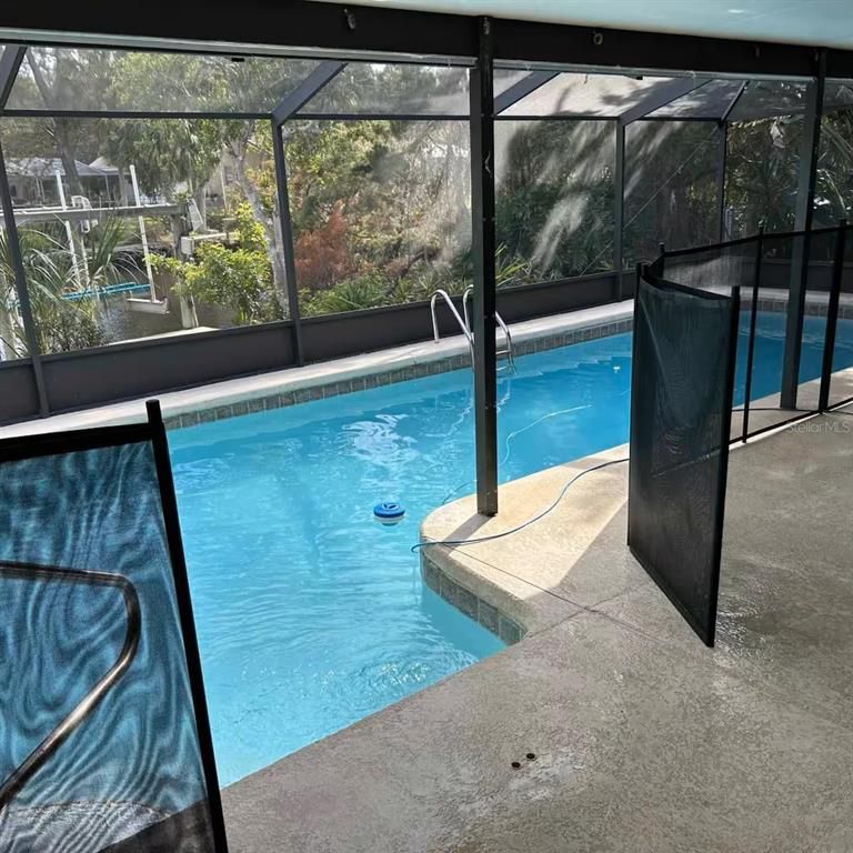 Glass Ceilings, Interior, Pool, Sun Room