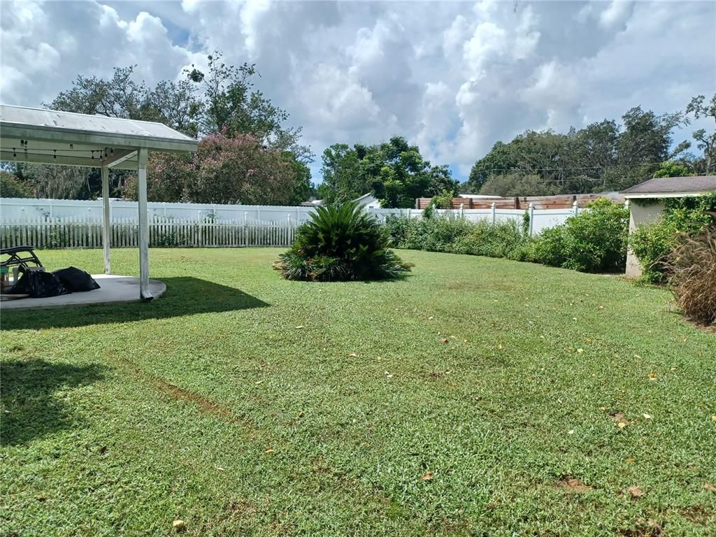 Backyard, Exterior