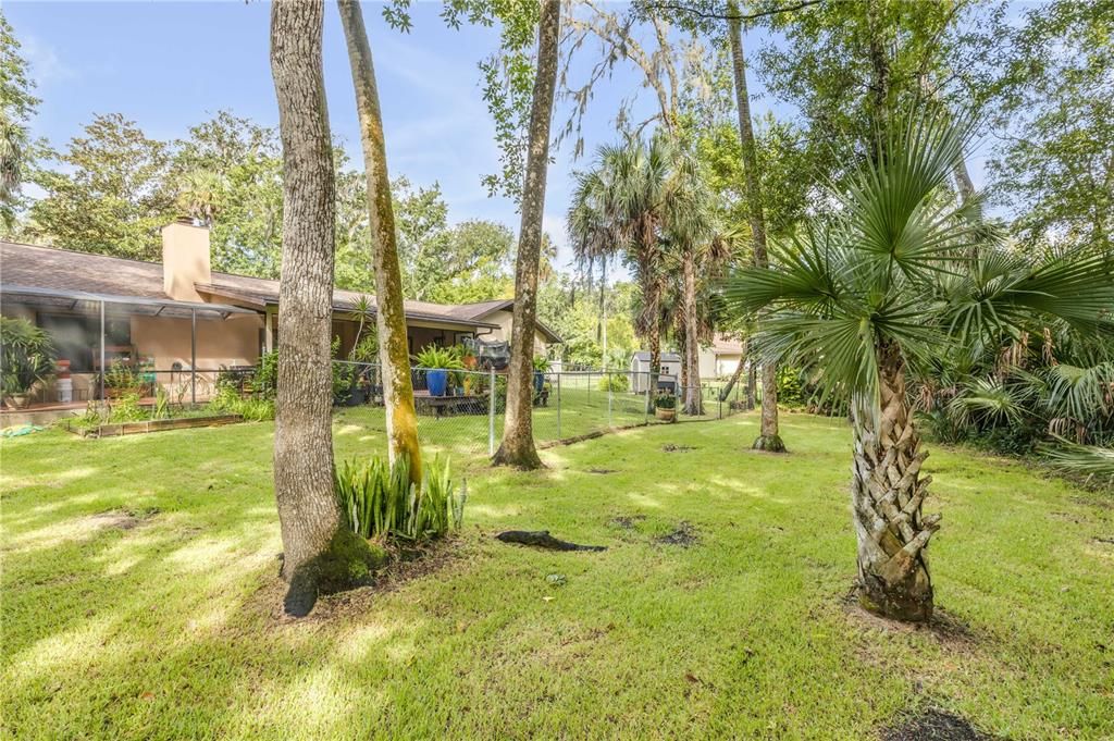 Backyard, Exterior