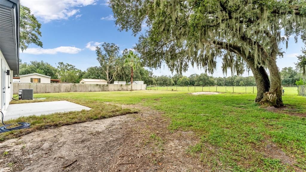 Backyard, Exterior