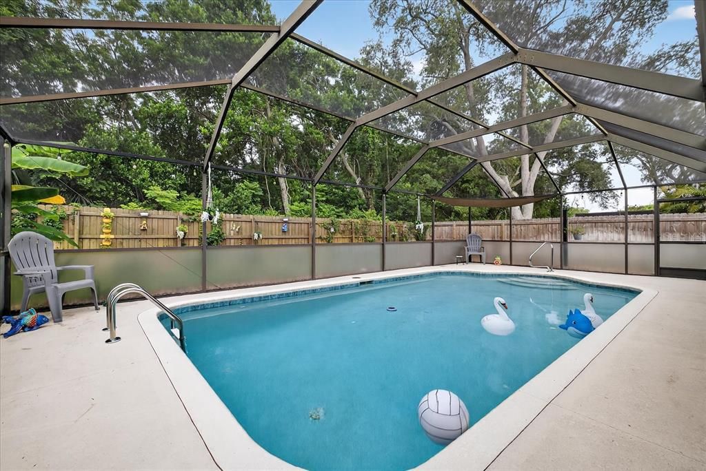 Glass Ceilings, Interior, Pool, Sun Room