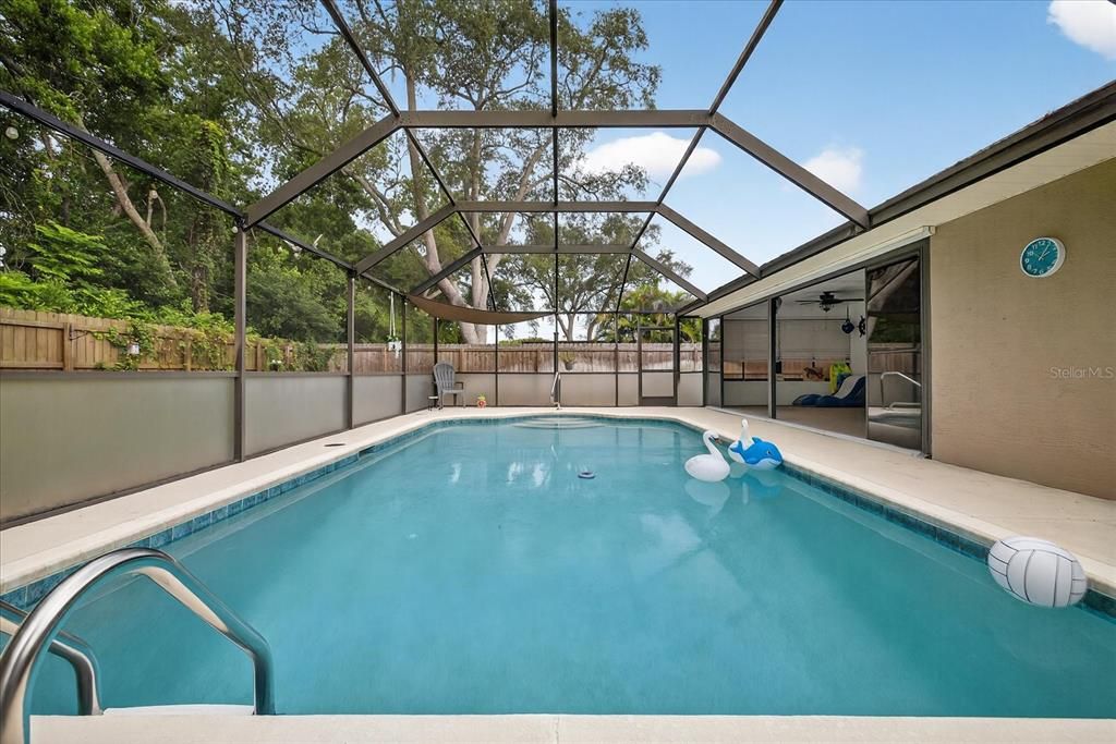 Glass Ceilings, Interior, Pool, Sun Room