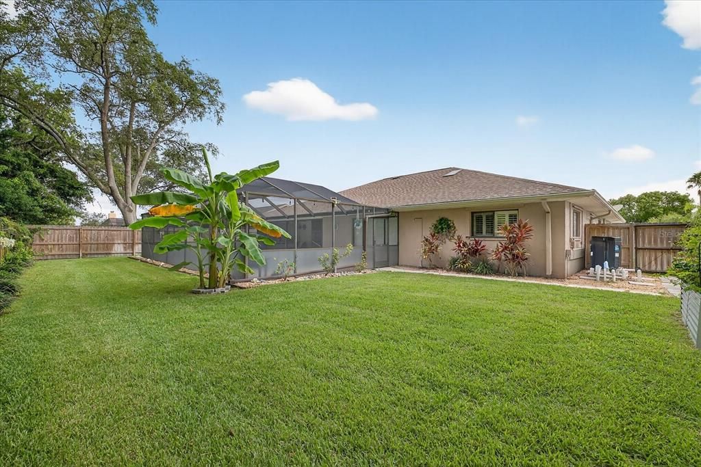 Backyard, Exterior