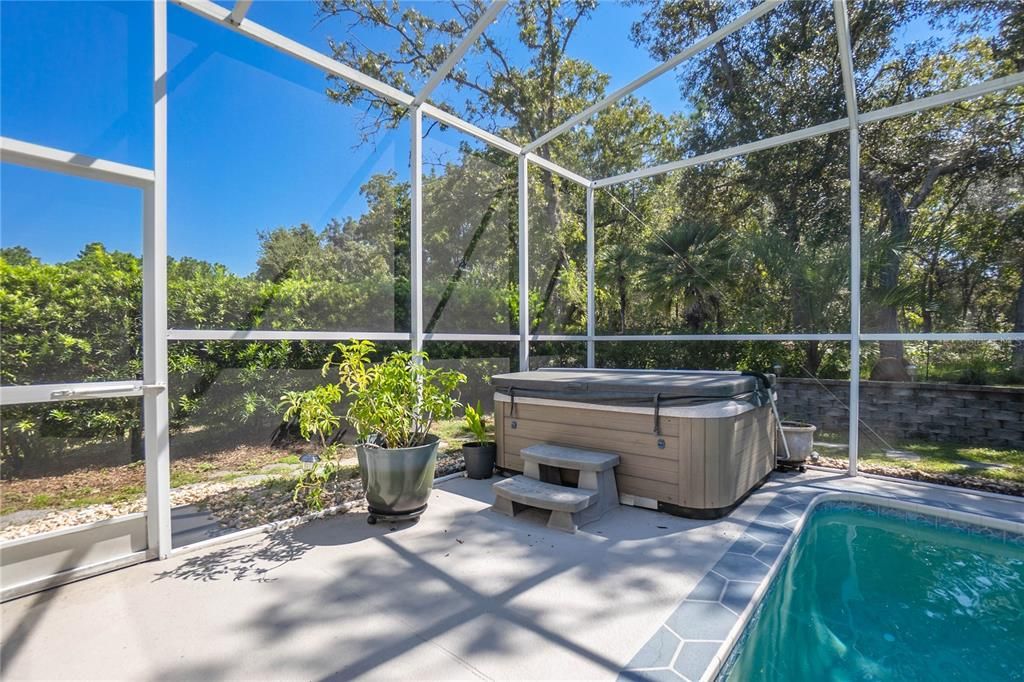 Glass Ceilings, Hot Tub, Interior, Pool, Sun Room