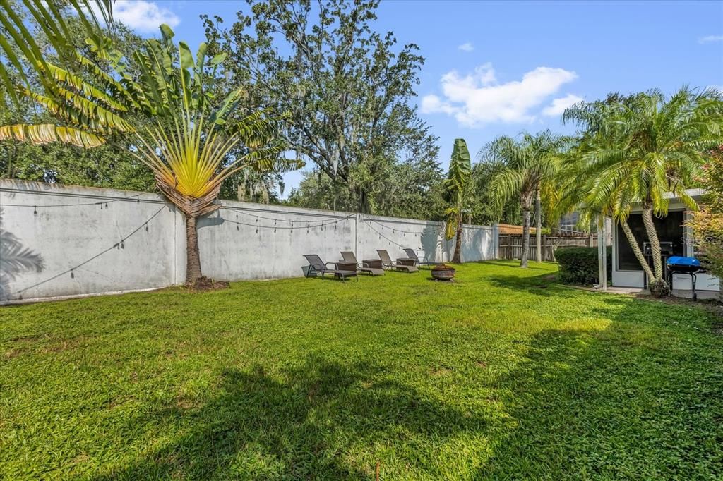 Backyard, Exterior