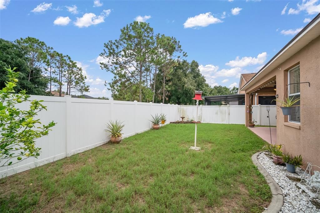 Backyard, Exterior