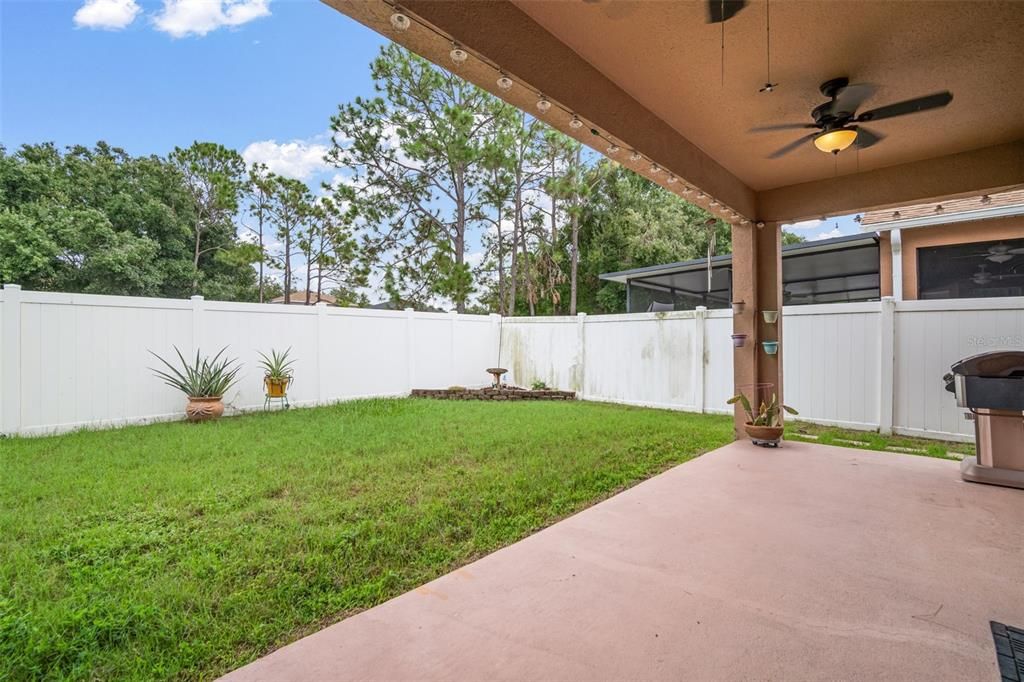 Backyard, Exterior