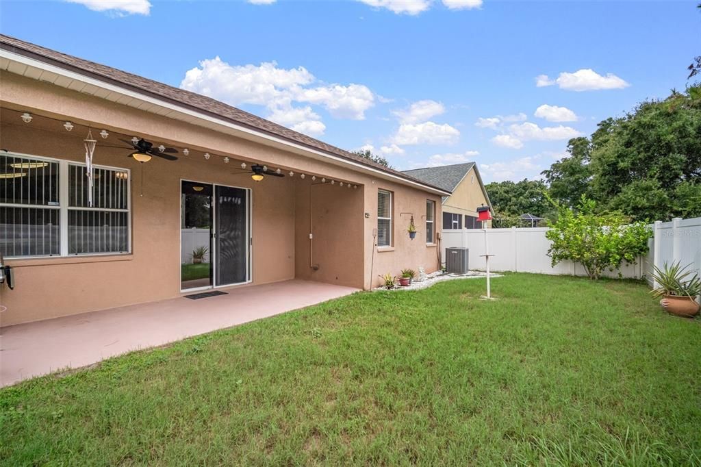 Backyard, Exterior