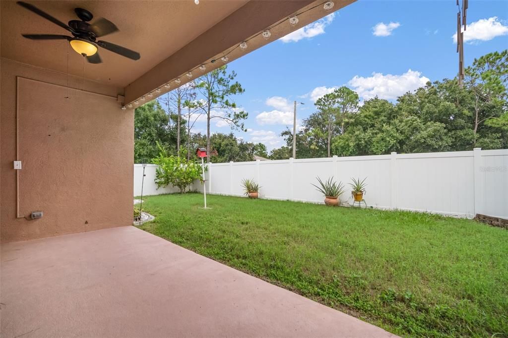 Backyard, Exterior