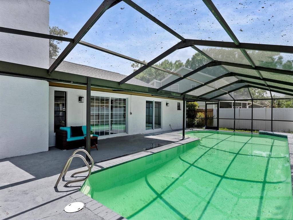 Glass Ceilings, Interior, Pool, Sun Room