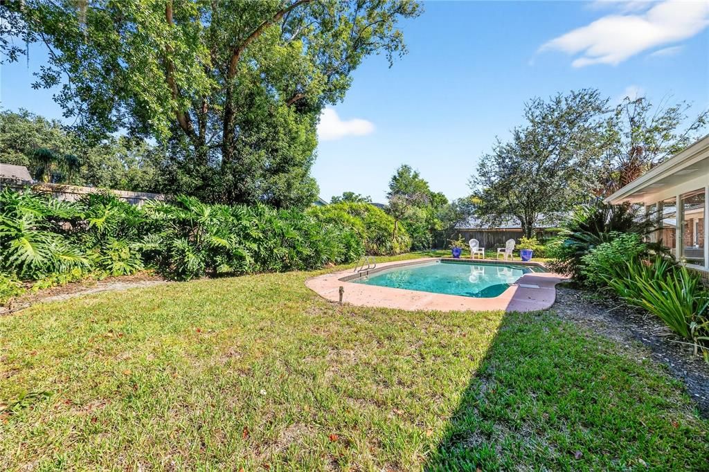 Backyard, Exterior, Pool