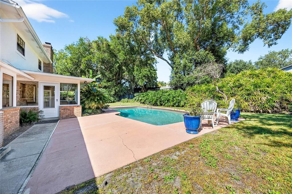 Backyard, Exterior, Pool