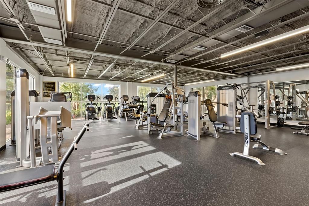 Fitness Equipment, Gym, Interior