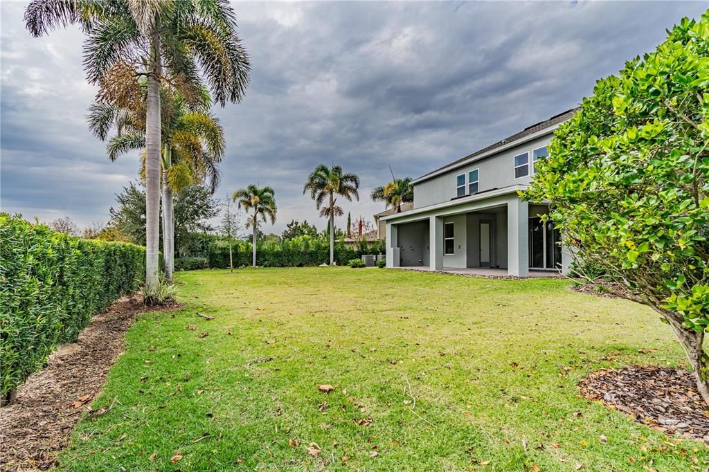 Backyard, Exterior