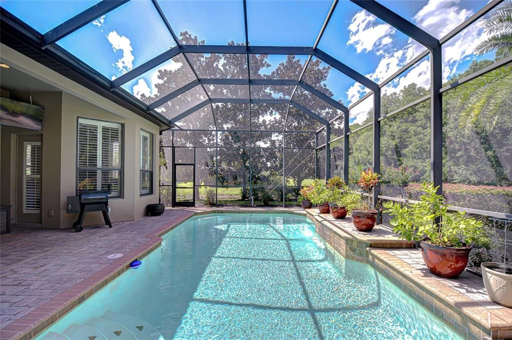 Glass Ceilings, Interior, Pool, Sun Room